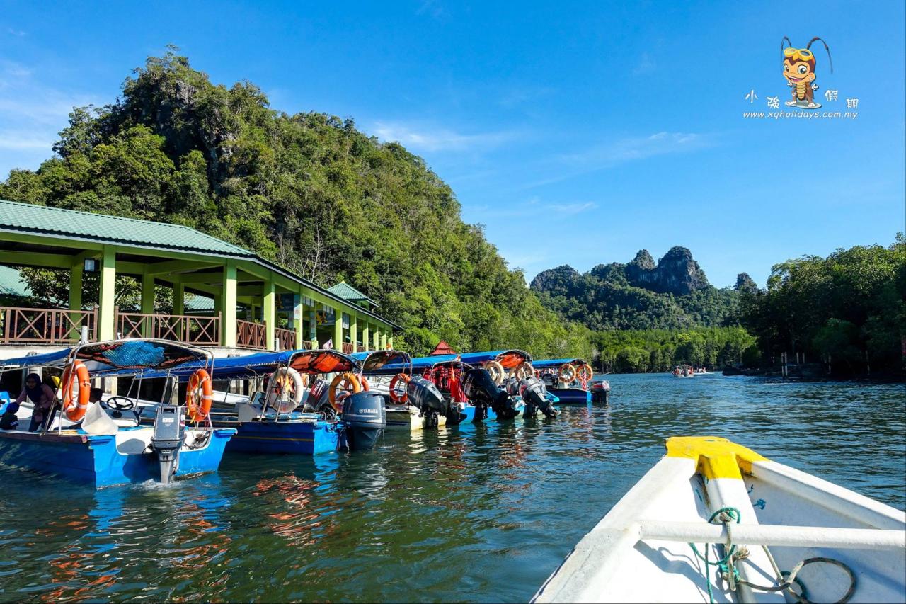 Jelajahi Hutan Mangrove Langkawi yang Eksotis dengan Mangrove Tour